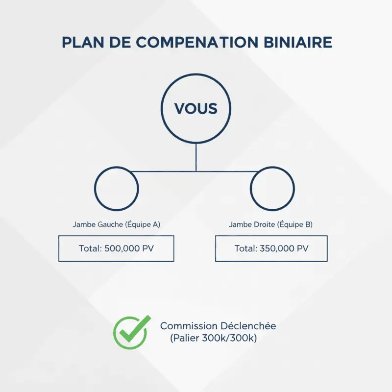 chéma du plan de compensation Atomy binaire et paliers de PV
