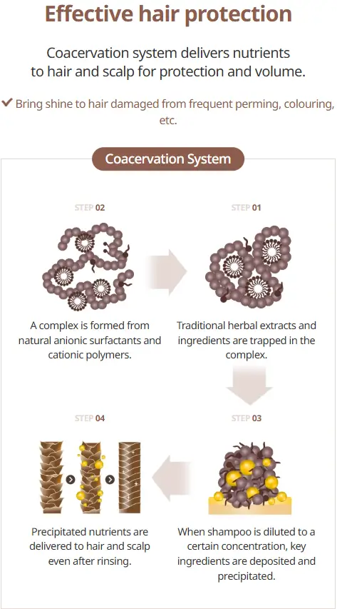 Graphique du pH acide du Atomy Herbal Shampoo